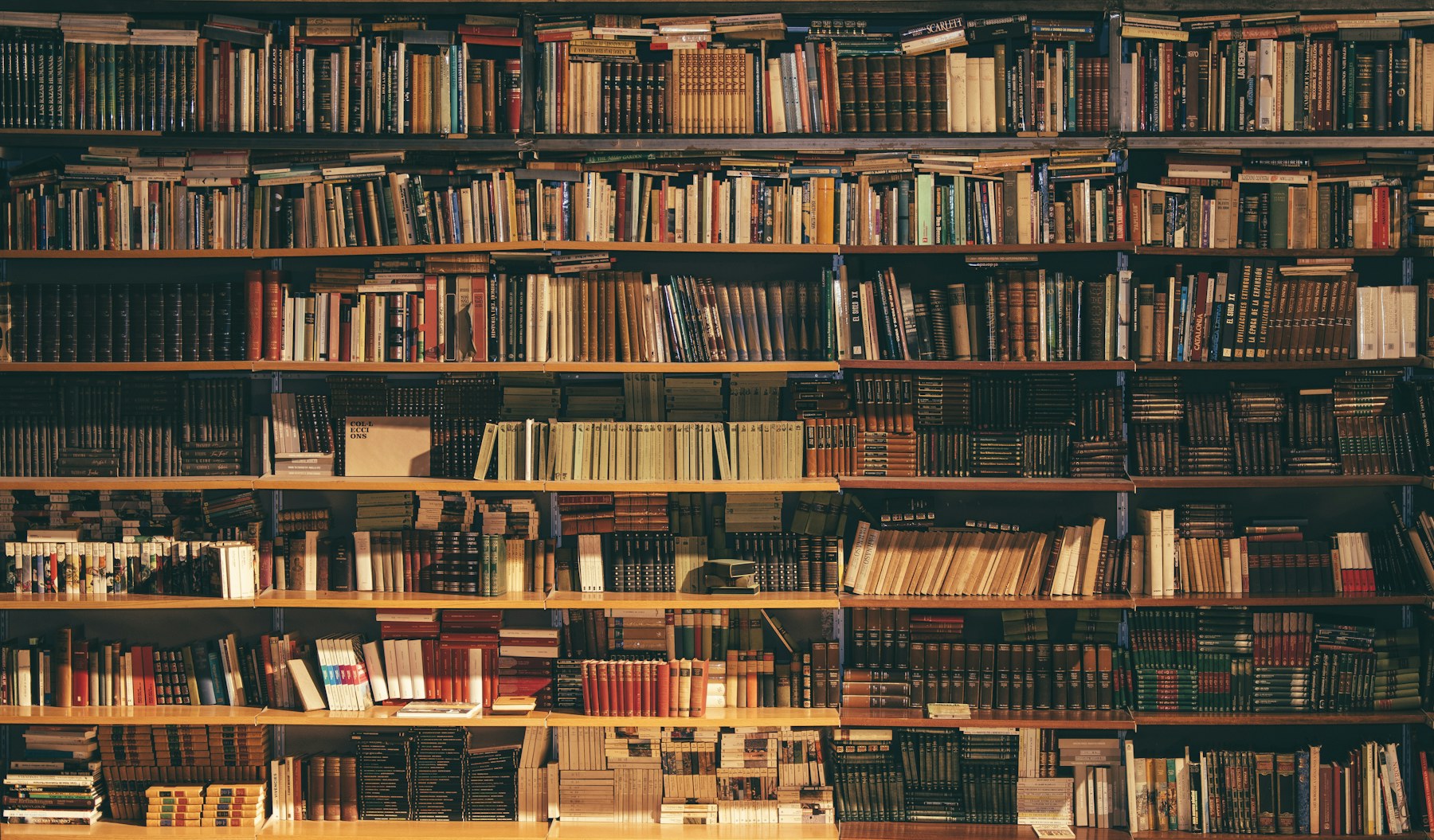 Leitura - biblioteca